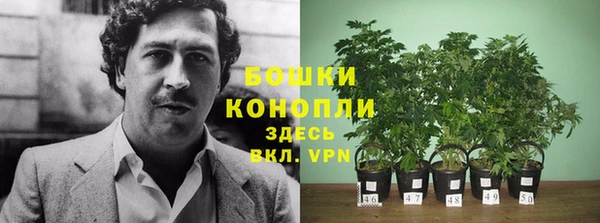 кокаин перу Горняк